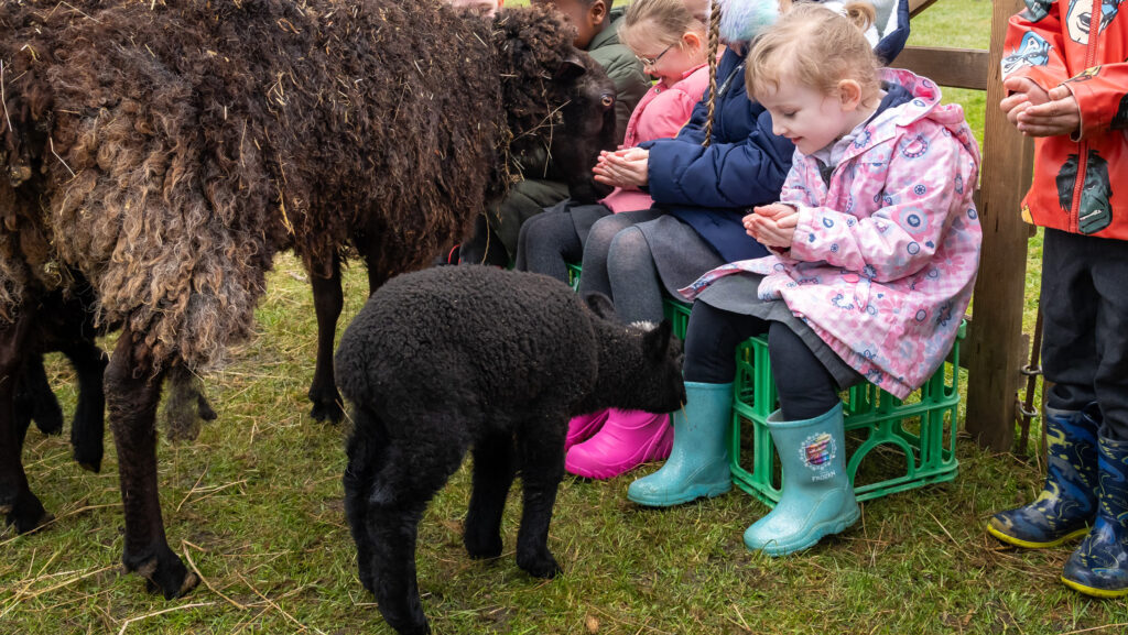 © Learn About Livestock