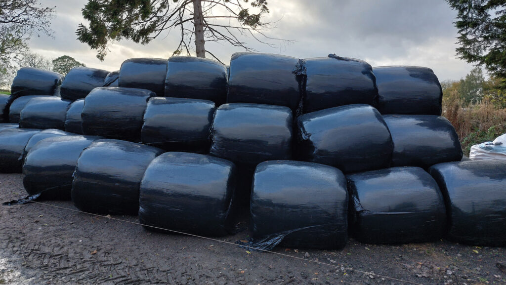 © MAG/Shirley Macmillan