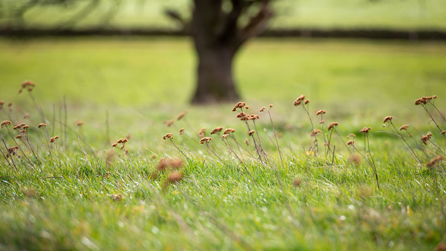 A diverse shared is key to healthy soil