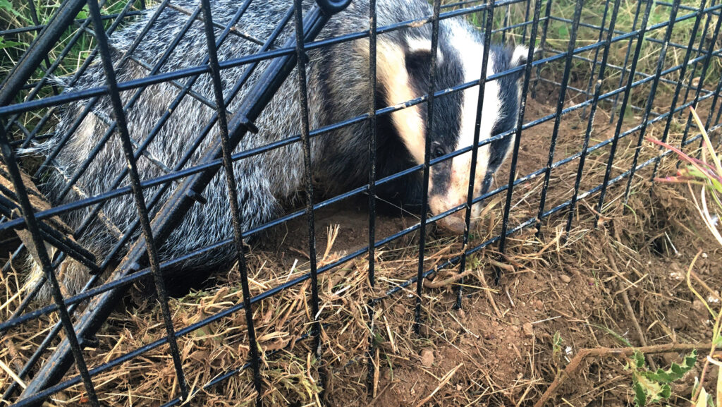 © Lindsay Heasman/Hurst Animal Health