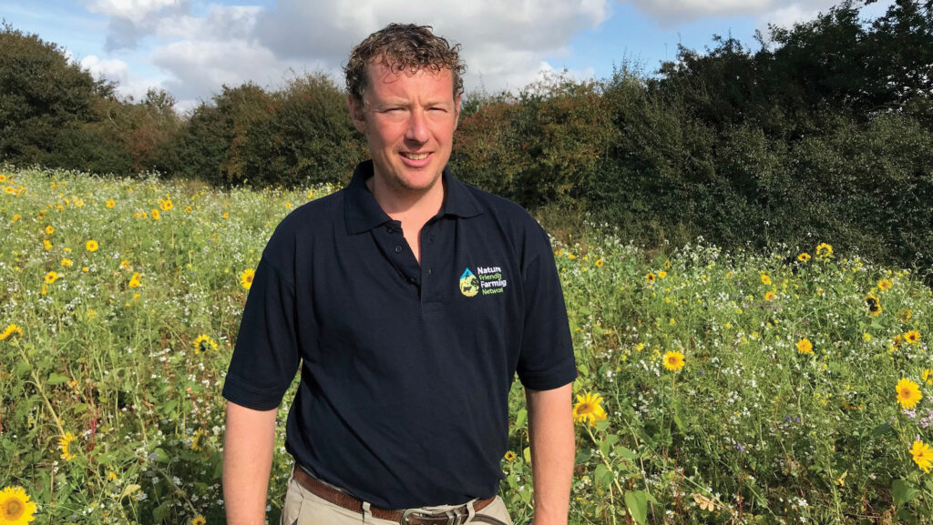 Farmer standing in a cover crop