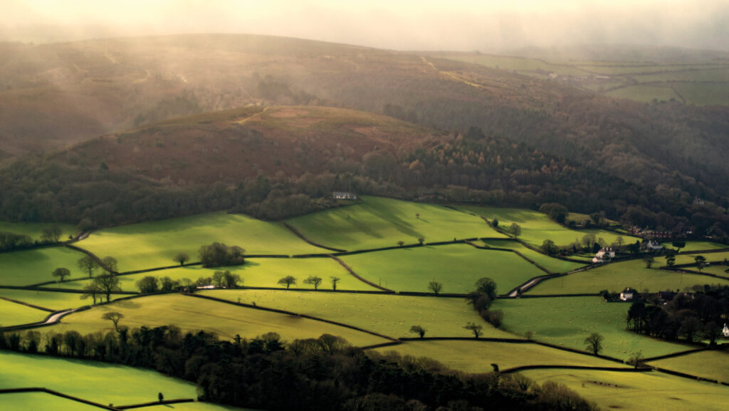 © Mypurgatoryyears/Istockphoto