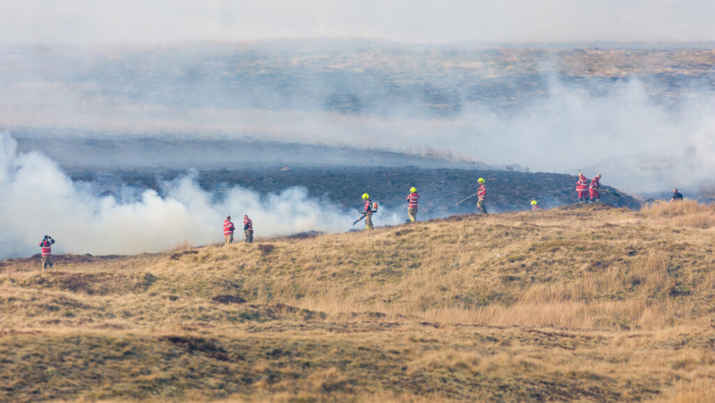 Firefighters tackling a wild grass fire