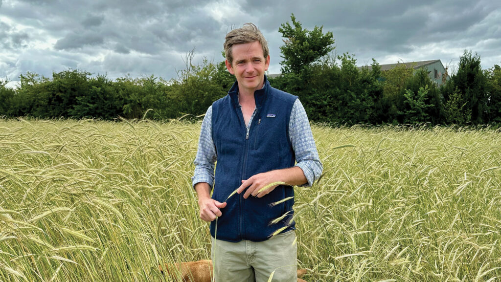 Hugh Forsyth standing in rye crop