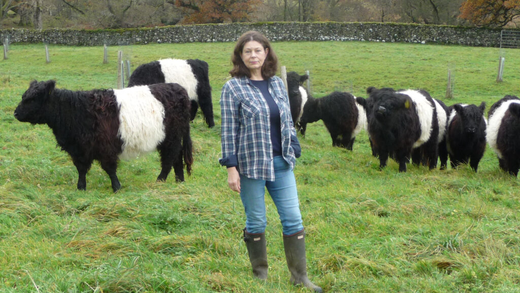 Joy Bowes © Joy Bowes