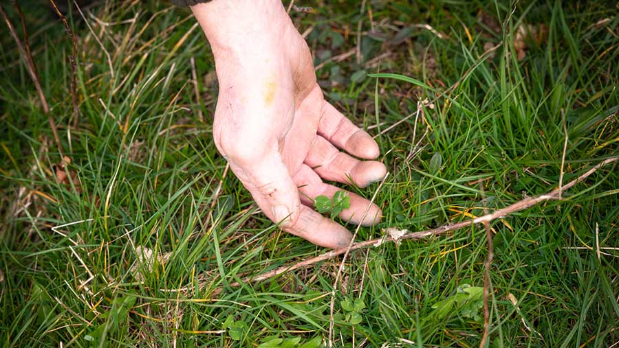 Leaf architecture is a good barrier against heavy rain