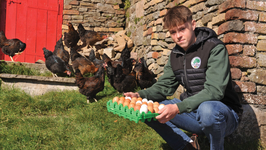 Lewis Thomas with Australorps and eggs © Debbie James