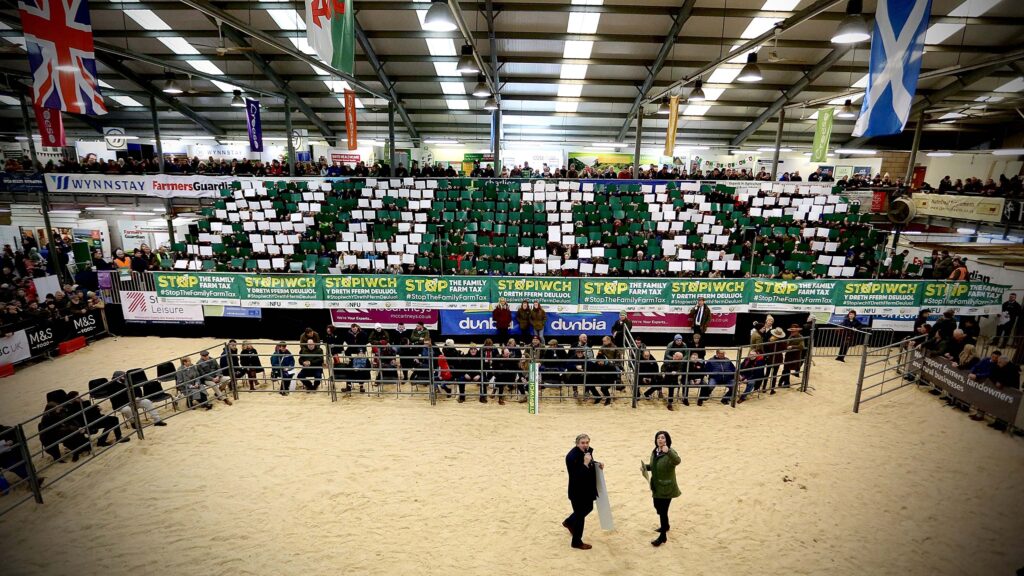 NFU Cymru president Aled Jones and deputy president Abi Reader in the show ring © NFU Cymru