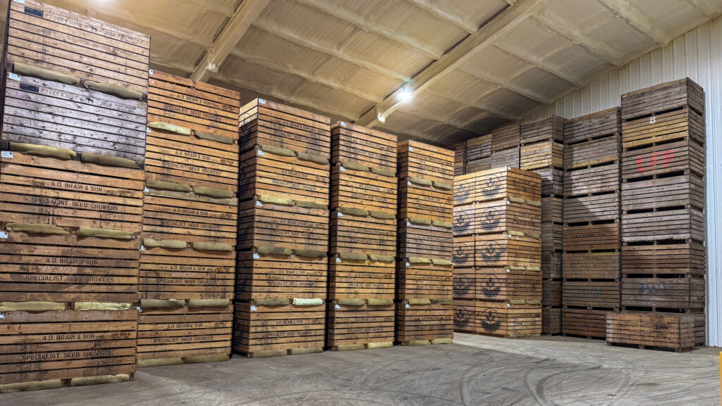 Potatoes in box store at AD Brain & Son