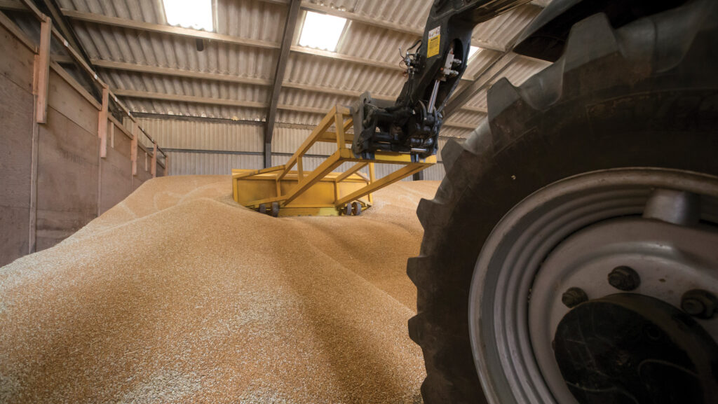 UK wheat markets falter with global supplies set to rise