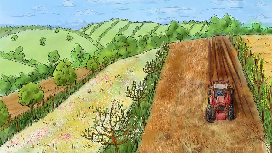 Silvoarable systems offer the opportunity to diversify the farm business.