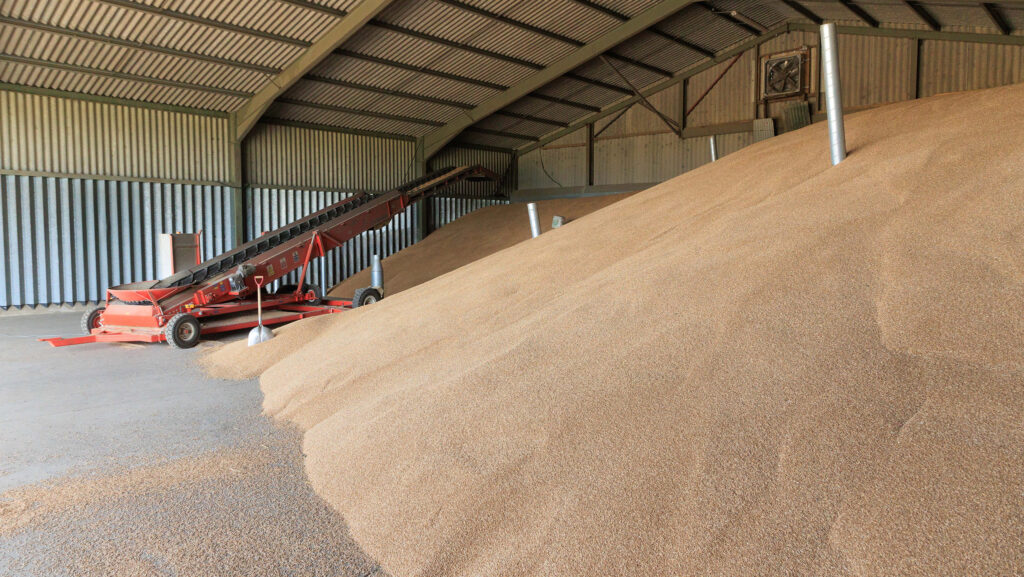 UK wheat growers pinched by inflation and flatlining yields