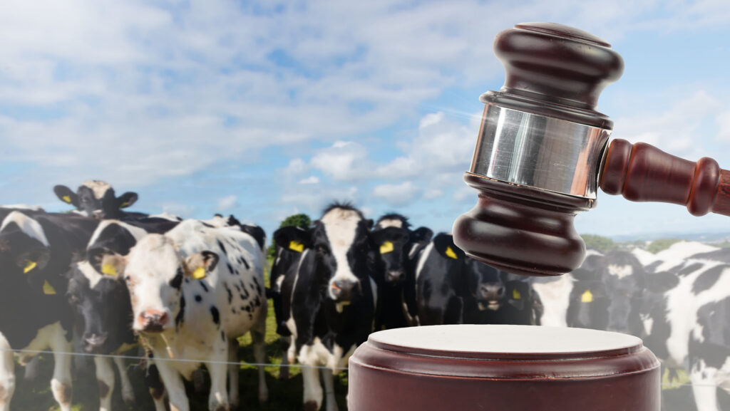 Improved livestock sales drive profits at H&H Group