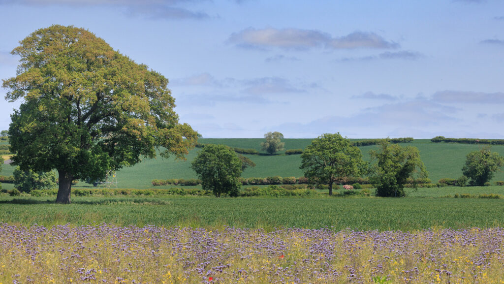 Farmers face uneven support as stewardship payments begin