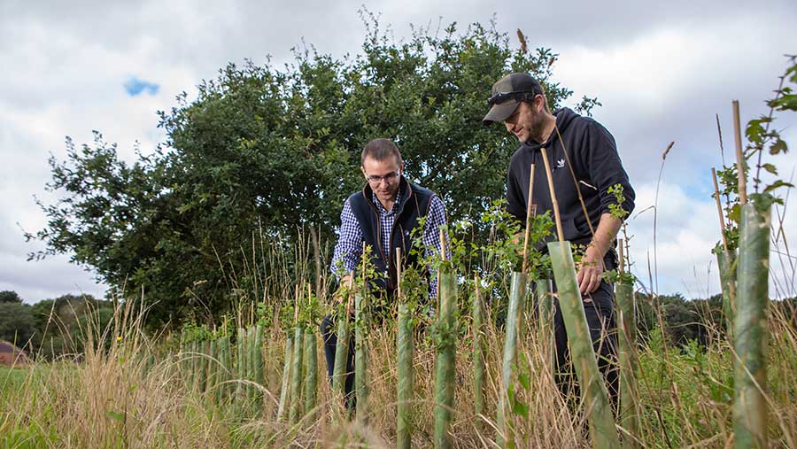 People assessing grassland