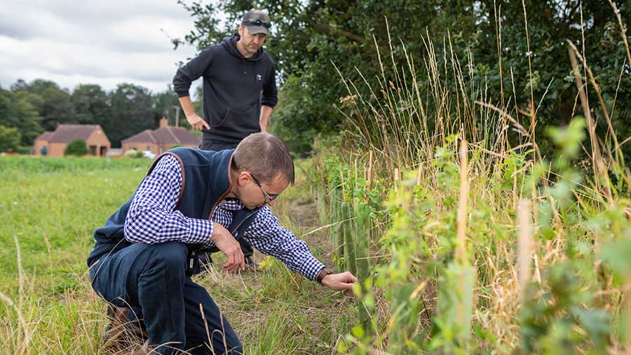 People assessing grassland