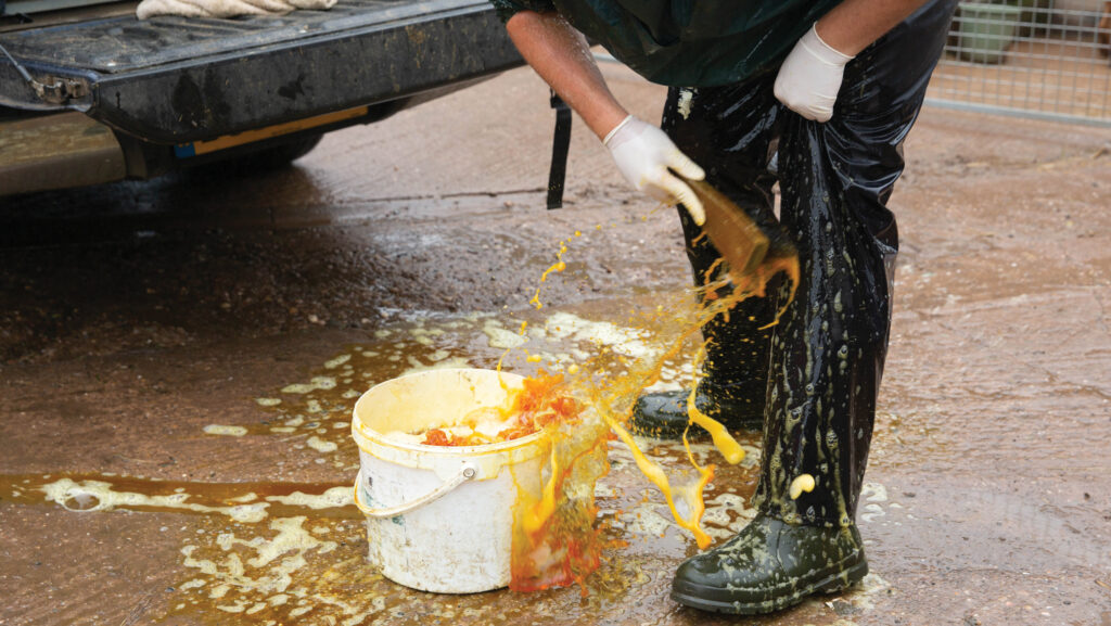 Vet disinfecting wellies in farmyard
