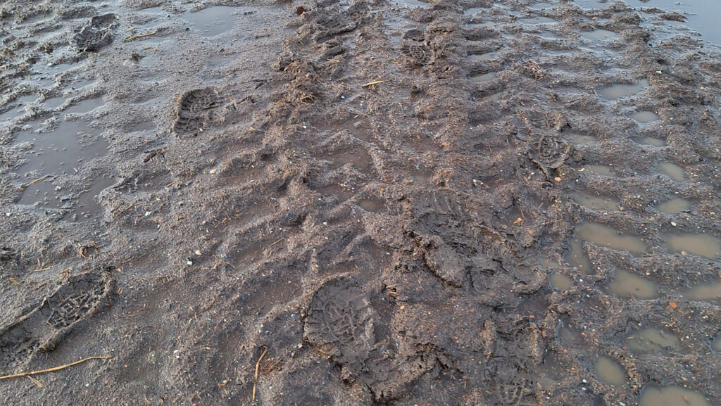 Tyre tracks and footprints in the mud