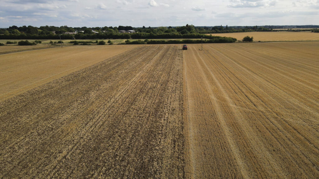 Drone view of cereal crop