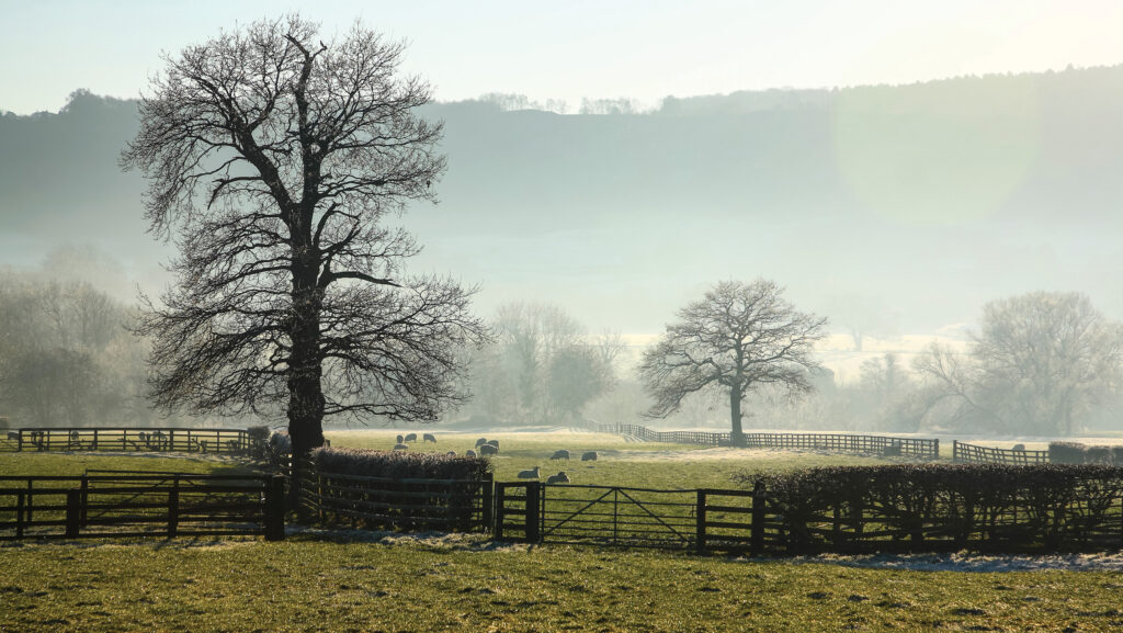 Business Clinic: Should we undo inheritance plans?