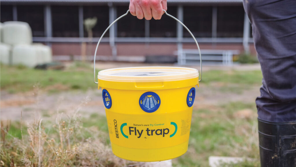 Fly trap bucket
