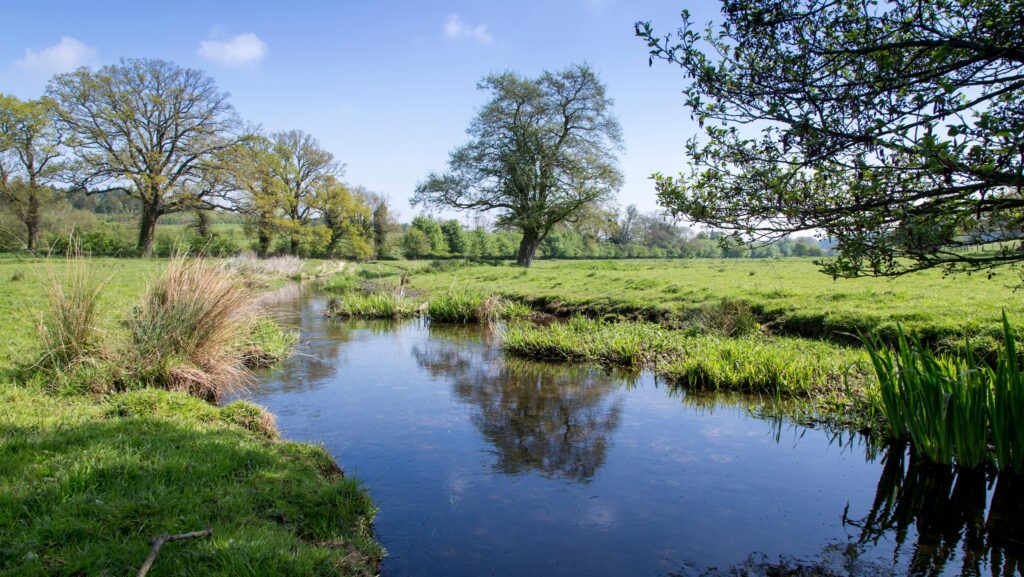 © Gary Naylor Photography