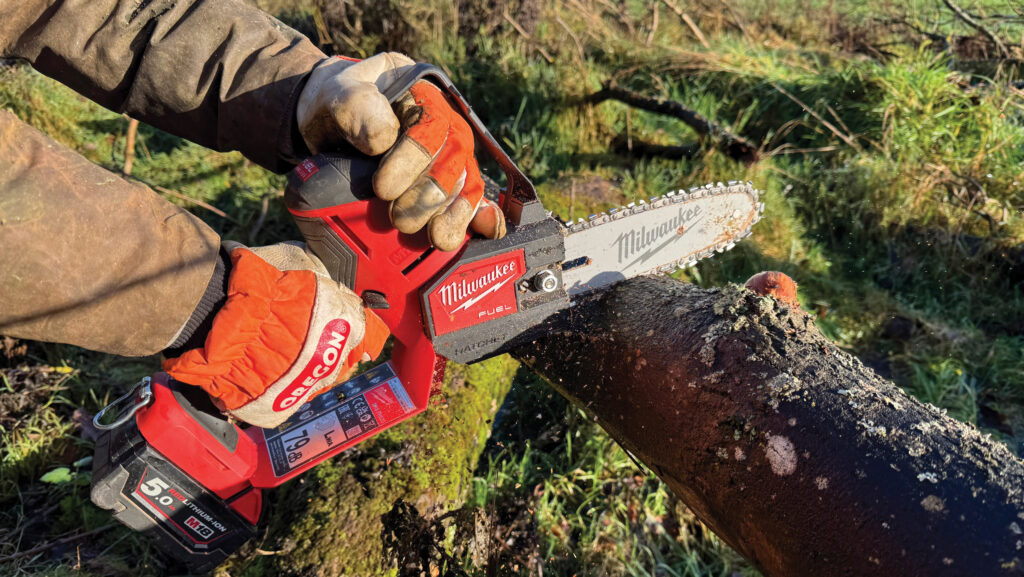 Chainsaw cutting a branch