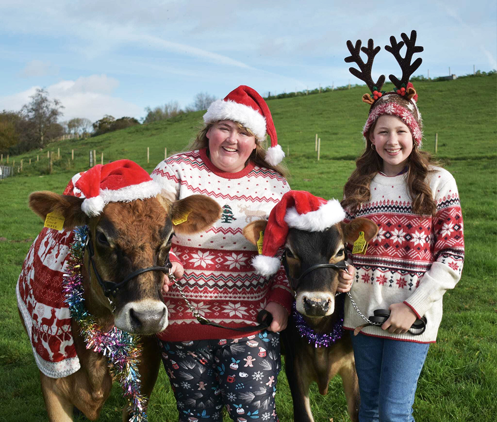 Amy (left), Sophie (right), and cow and calf in Xmas jumpers