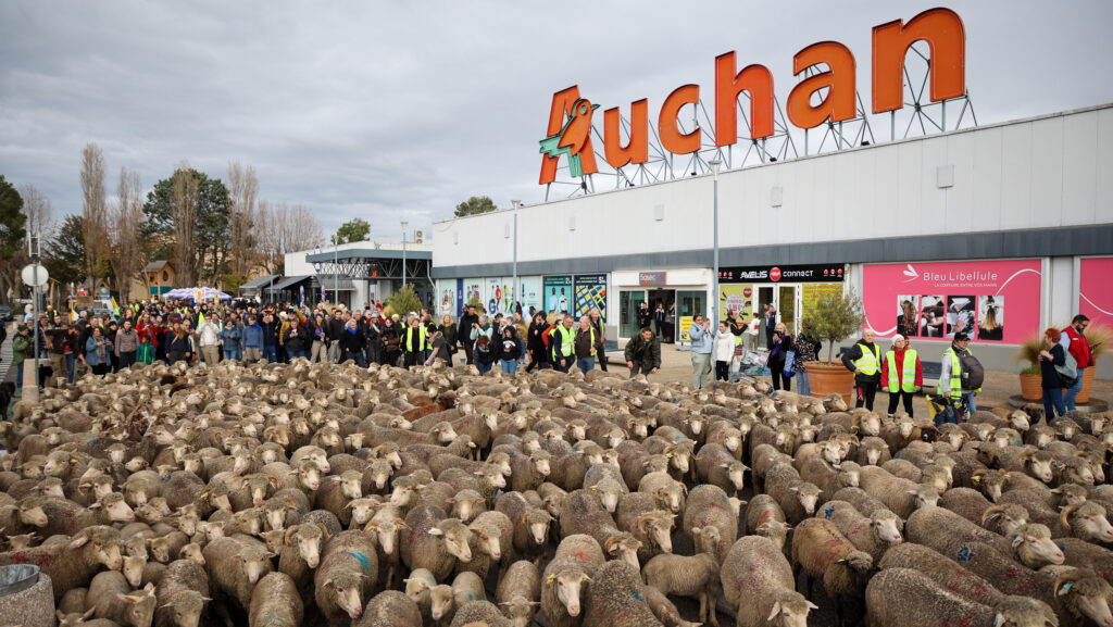 French farmers rebel over disease policy and trade concerns