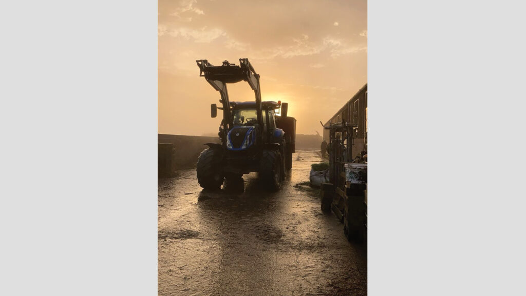 Tractor in yard in early morning light