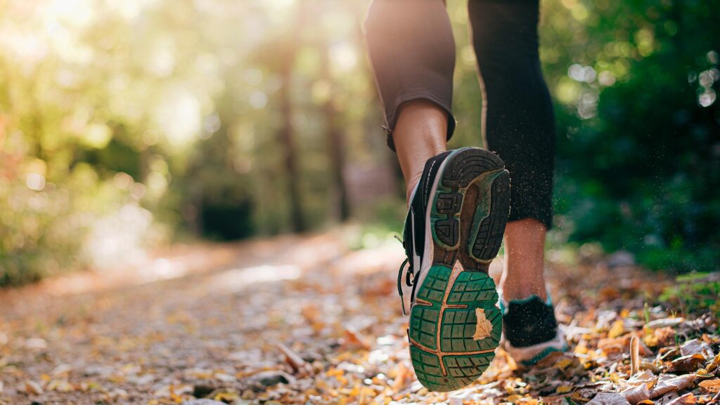 How off-farm pursuits are benefitting two livestock farms