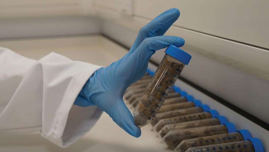 Soil analysis in a lab at Elaniti