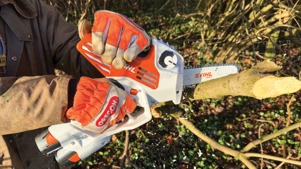 Chainsaw cutting a branch
