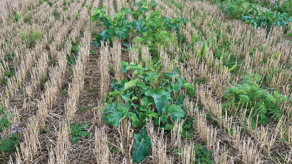 T2 timing broadcast failure