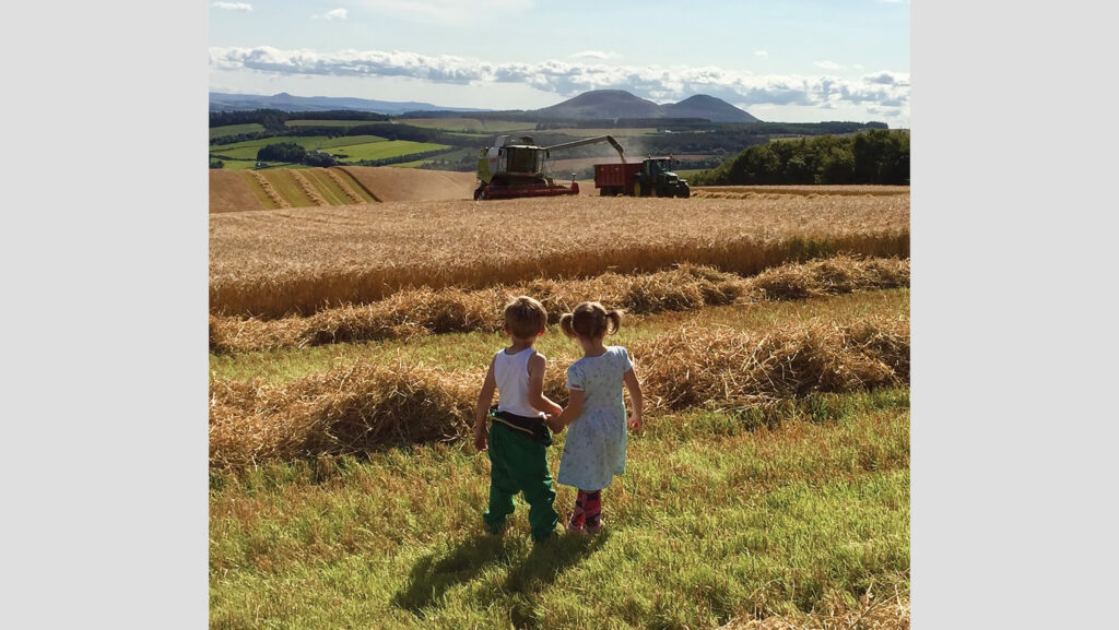 Two children in field watching harvest
