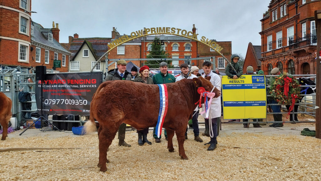 Winslow Primestock Show champion