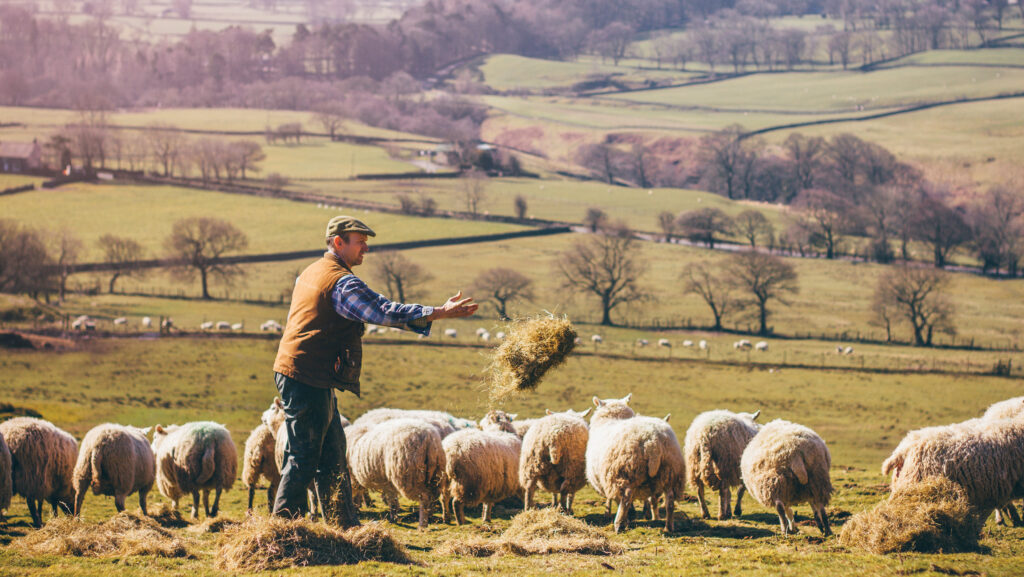 © SolStock/iStockphoto