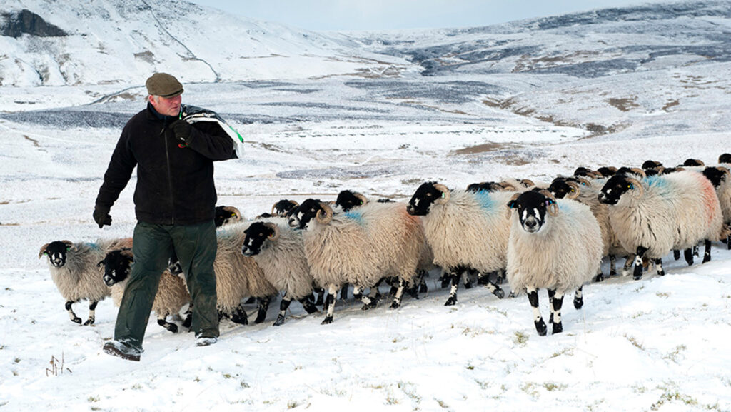 Charities launch winter funds to aid farming families