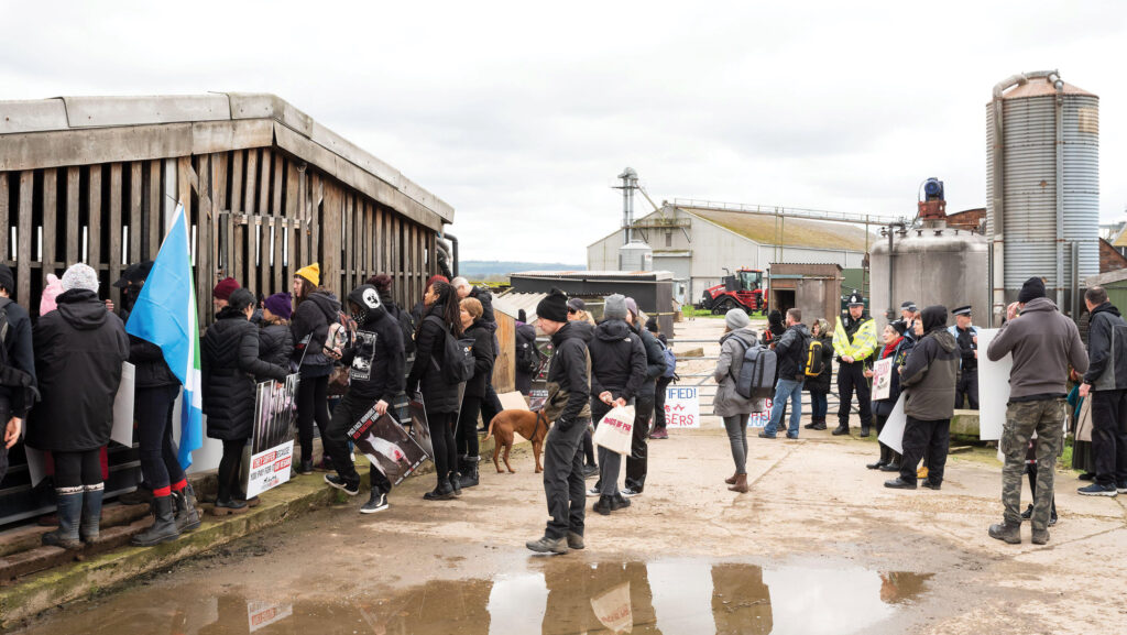 © Stephen Bell/Alamy Stock Photo