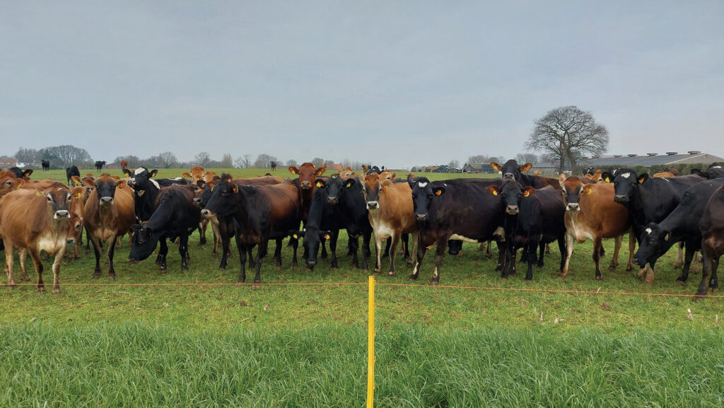 © MAG/Shirley Macmillan