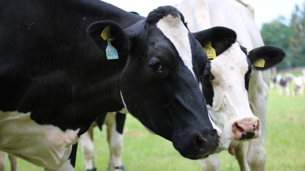 Defra announces £21.5m pot for farm innovation projects