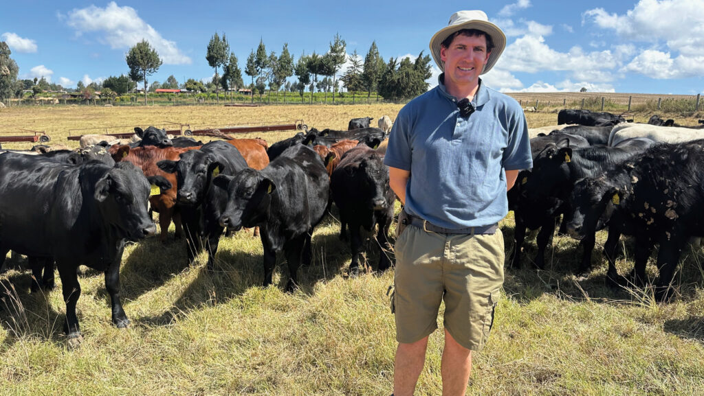Damian Fison with cattle