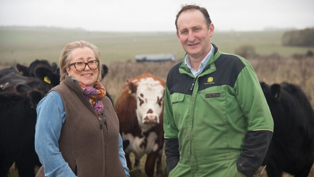 Farmer Focus: Three cattle dead after hare-coursing havoc