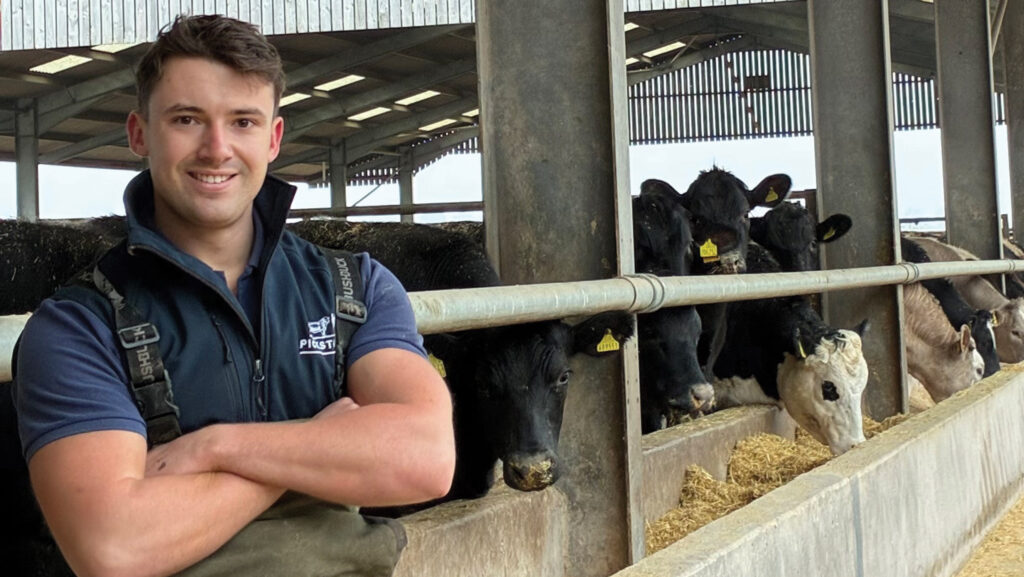 Man in a cattle shed with animals