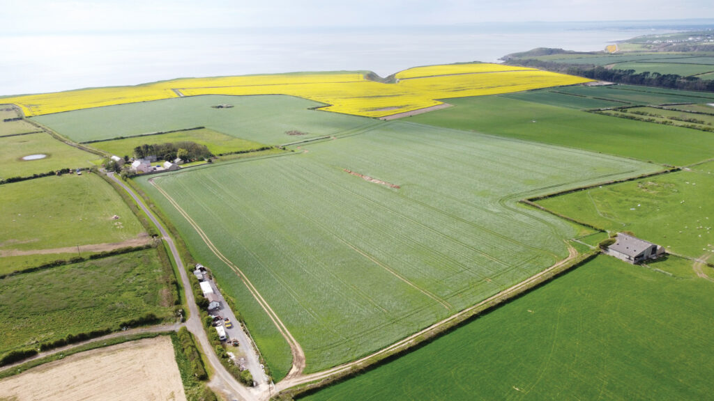 Aerial view of farmland