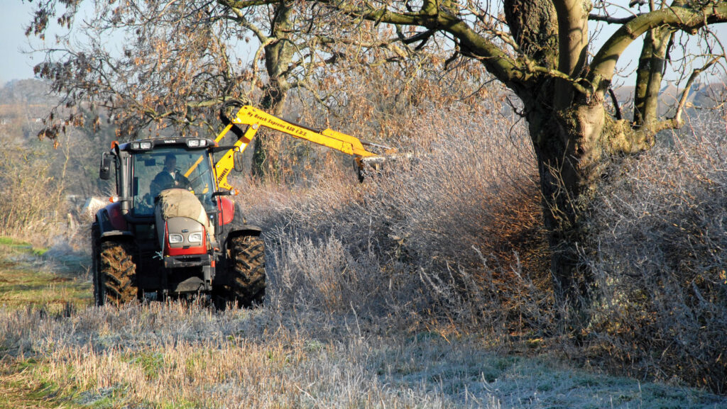 Hedge cutting