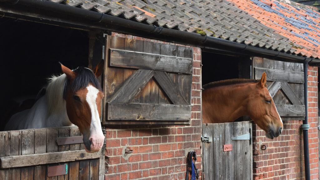 © umdash9/iStockphoto