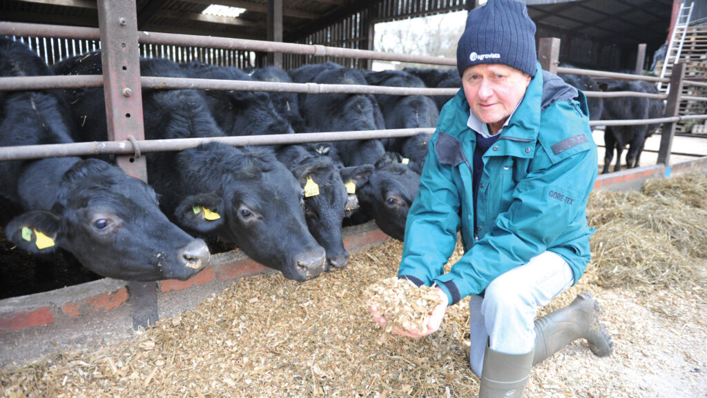 Nigel Bowyer with his store cattle