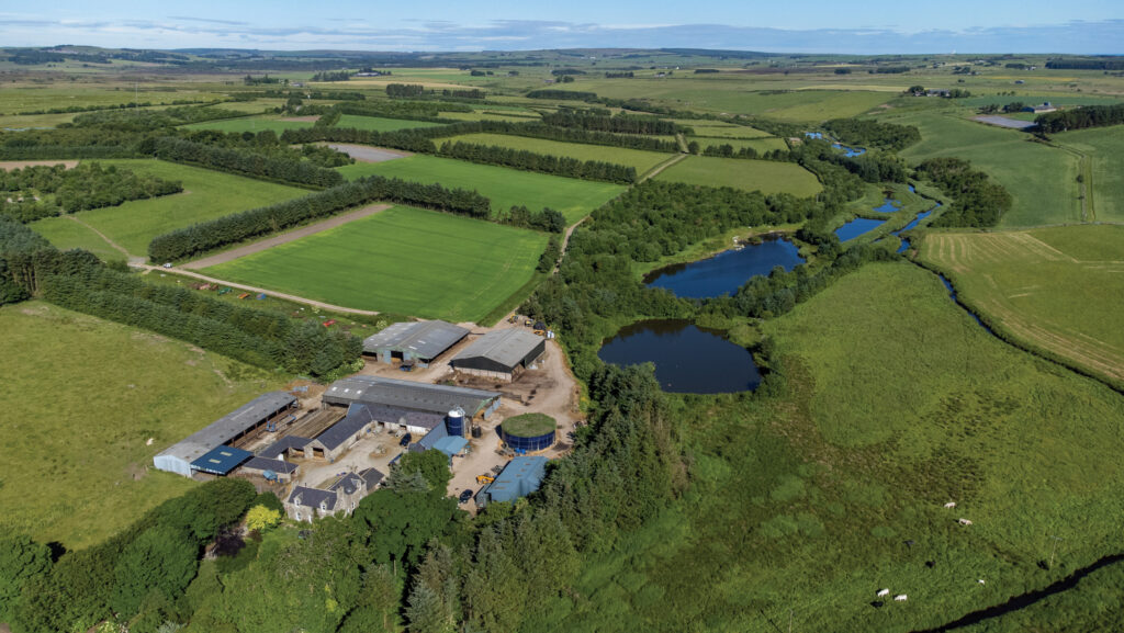 Aerial view of farm buildings