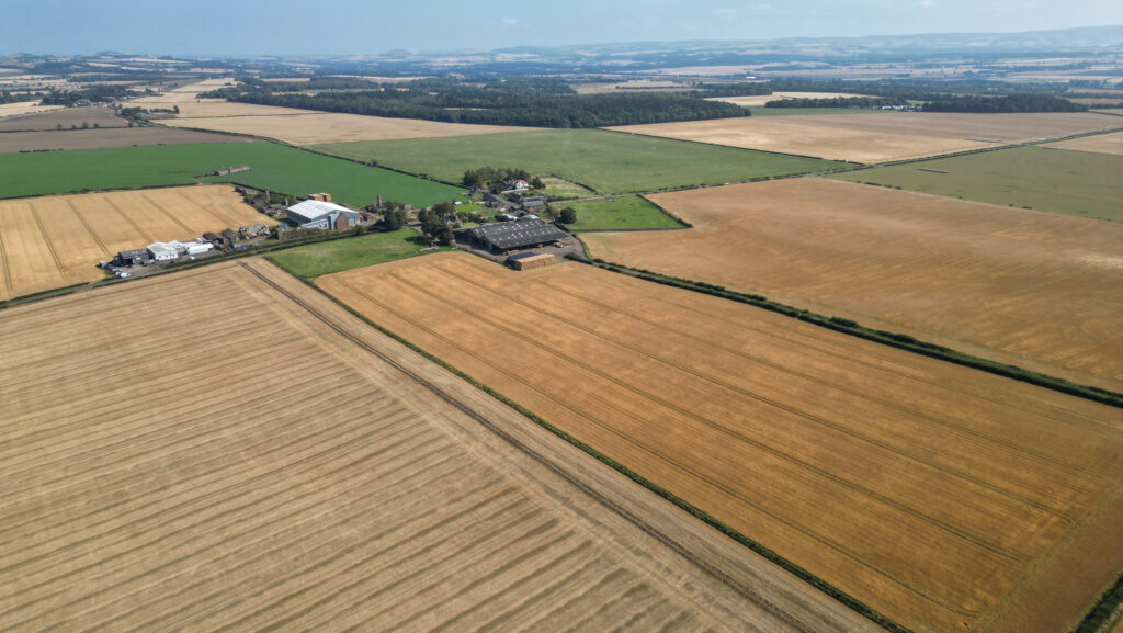 Aerial view of farmland